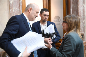 Bullrich Sturzeneguer