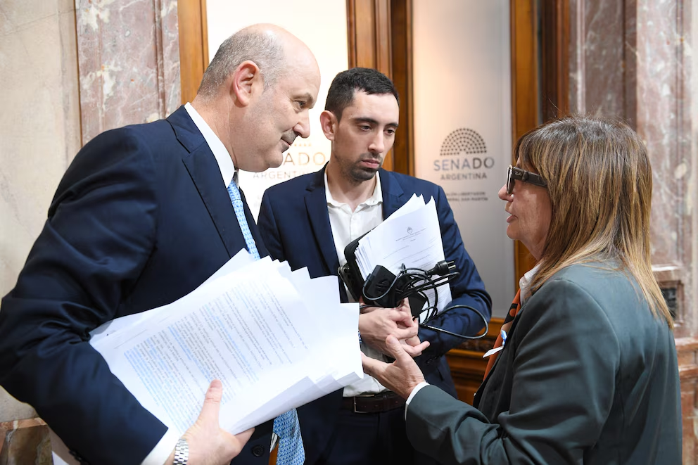 Bullrich Sturzeneguer