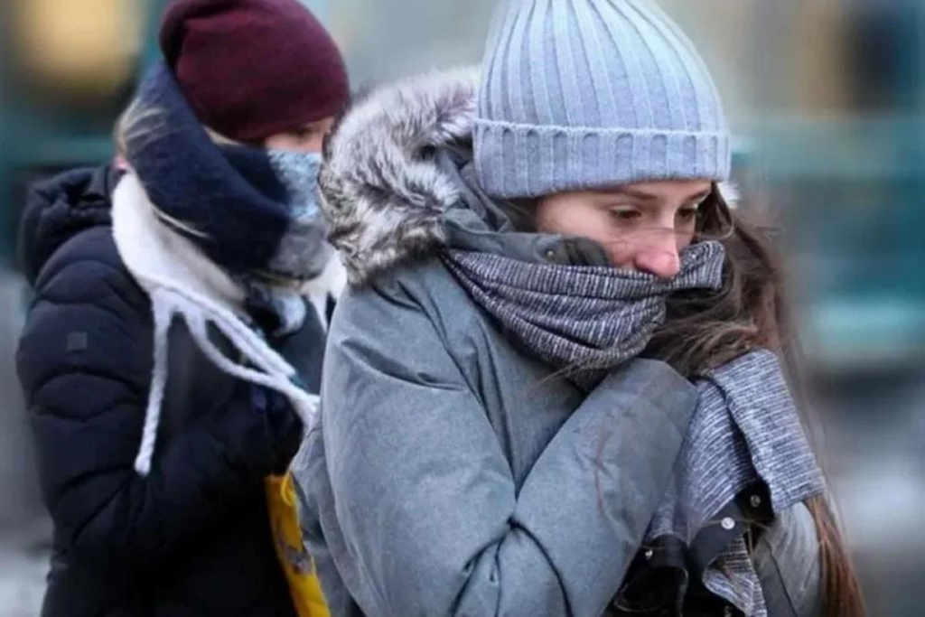 frio polar
